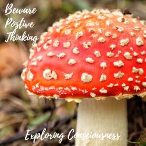 Fly agaric mushroom with text overlay