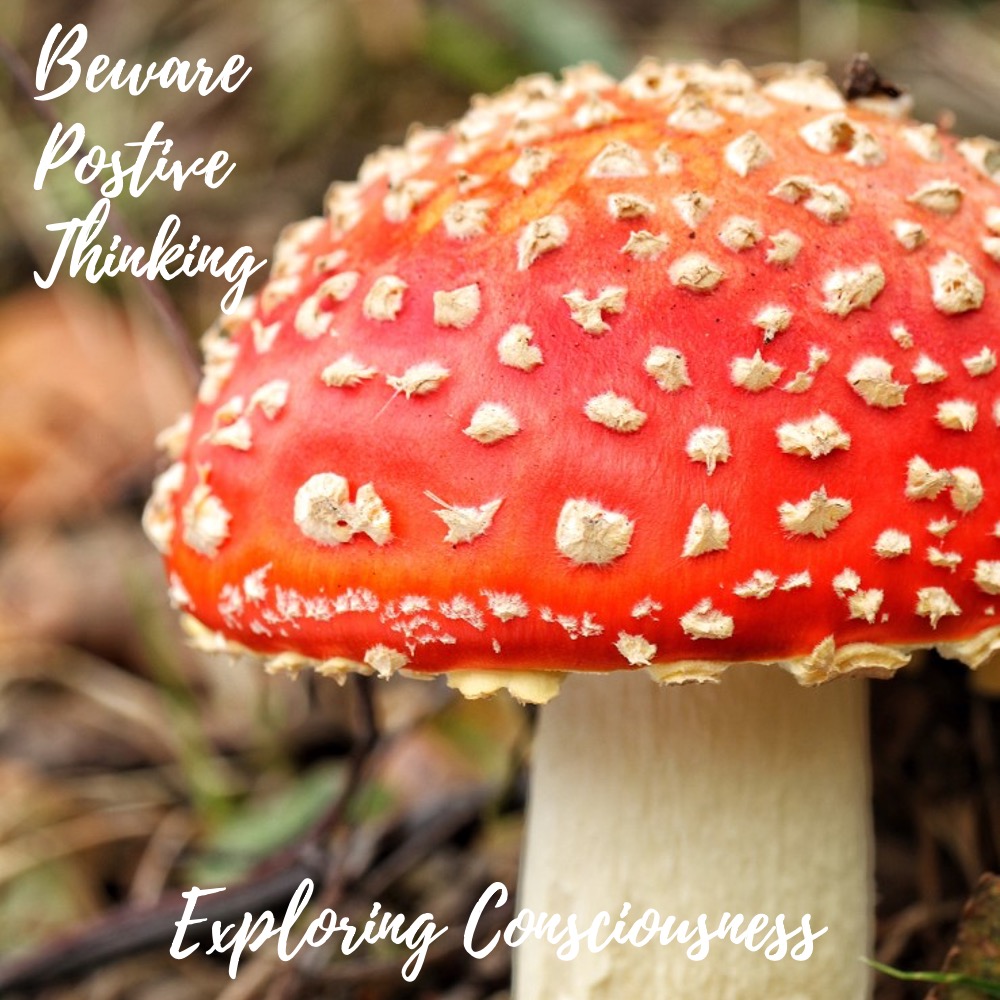 Fly agaric mushroom with text overlay