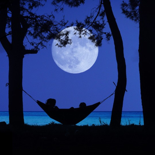 People in hammock under moonlit sky at night.